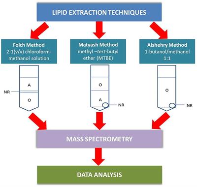 Comparison of Single Phase and Biphasic Extraction Protocols for Lipidomic Studies Using Human Plasma